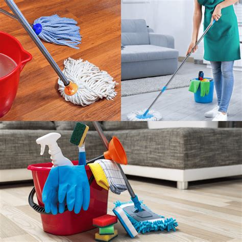 The Best Steam Mops for Laminate Floors