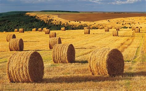 Hay Bales Wallpapers - Wallpaper Cave