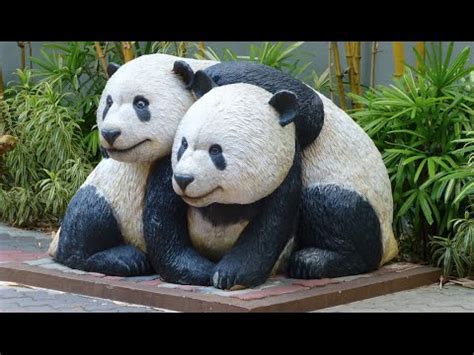 Giant Panda @ Zoo Negara, Kuala Lumpur, Malaysia. - YouTube