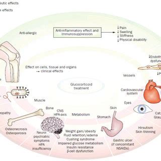 Effects of inflammation on bone. Processes stimulating bone growth ...