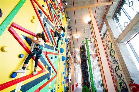 Climbing the walls (in a good way) - WAG MAGAZINE