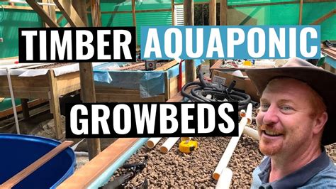 Home Aquaponics Timber Grow Bed Design and pipe work - YouTube