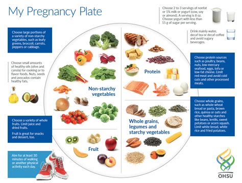 Nutrition in Pregnancy and Lactation – Nutrition: Science and Everyday ...