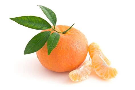 Tangerine Orange stock photo. Image of fruit, macro, color - 17466012