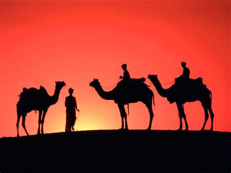 Camel Caravan HD desktop wallpaper : High Definition : Fullscreen 1936×1288 Camel Pictures ...