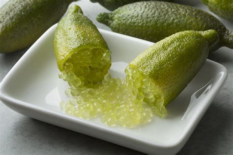 Citron caviar : prix au kg, où en trouver, utilisation