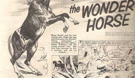 Peter Gray's Comics and Art: CHAMPION!! the wonder horse...CHAMPION ...