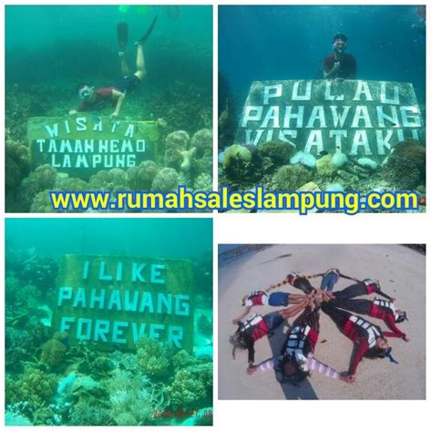 paket-snorkeling-di-pulau-pahawang ~ RumahSalesLampung.com