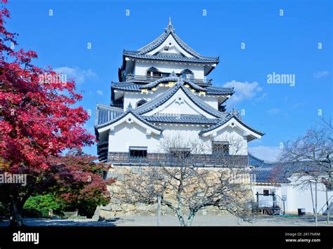 Keep Tower of Hikone Castle and autumn leaves Stock Photo - Alamy