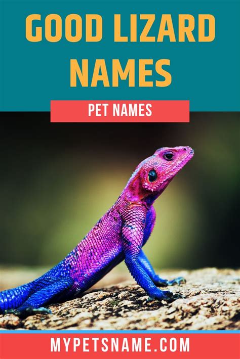 Good Lizard Names | Lizard names, Cool pet names, Reptiles names