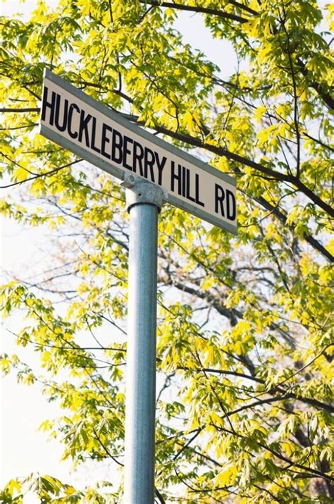 Huckleberry Hill | Travel usa, Huckleberry, Hills