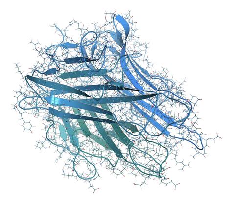 Tnf Alpha Molecule Photograph by Molekuul/science Photo Library