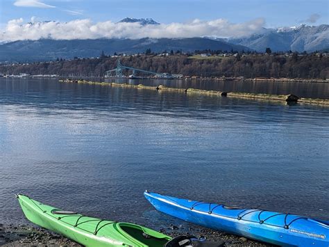 Guided Kayaking Tour of Port Angeles Harbor Wildlife