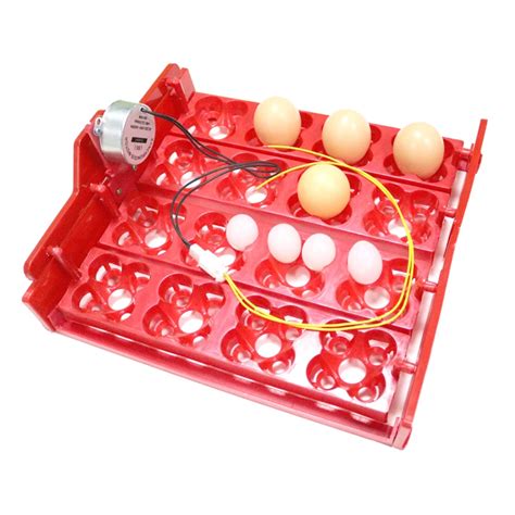 Quail Incubator 16 Eggs Or 64 Birds Eggs Automaticturn Eggs Tray Hand ...