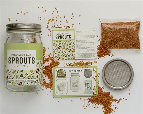 Sprouting Kit Grow Your Own Sprouts | Etsy