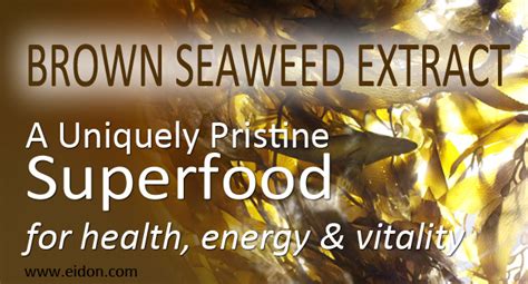 Brown Seaweed Extract