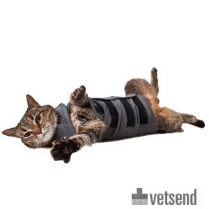 ThunderShirt | Calming & Relaxing Vest | Cats | Shop