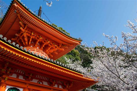 Wakayama Japan - The 10 Best Things to Do + More Travel Tips