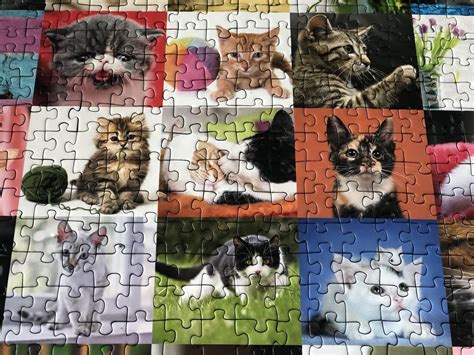 53 HQ Photos Cat Jigsaw Puzzles Australia - CAT SHELF 500 PC JIGSAW ...