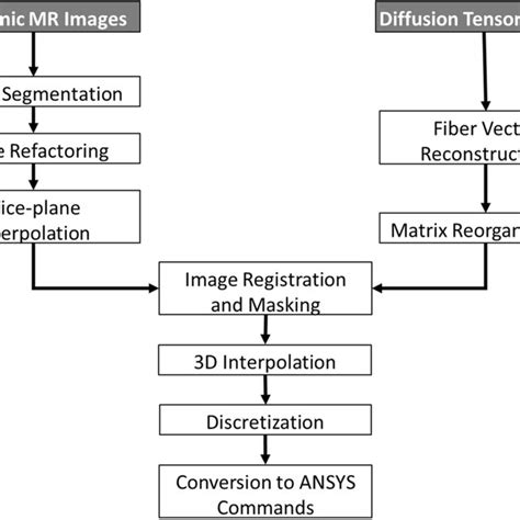 Pipeline from Image to 3D model. Flow diagram showing the major... | Download Scientific Diagram