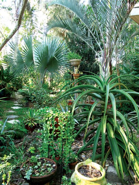 A Tropical Garden in Zone 9 — The Florida Gardening Project