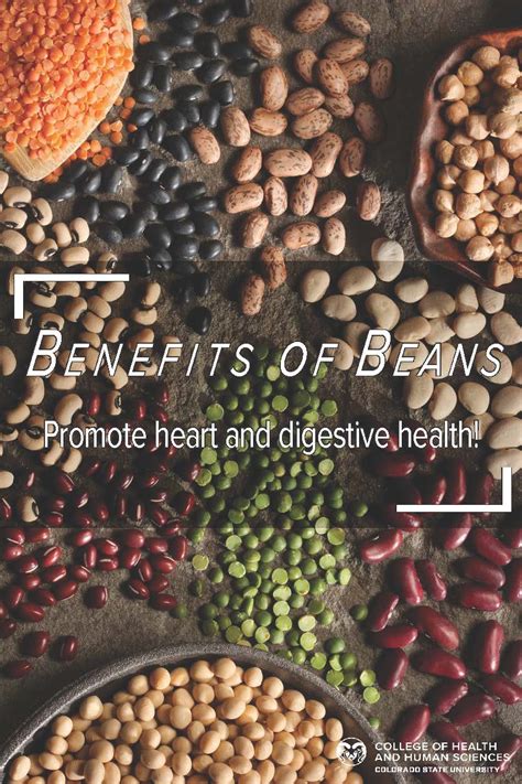 What are the benefits of beans? - College of Health and Human Sciences