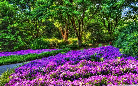 🔥 [70+] Spring Garden Wallpapers | WallpaperSafari