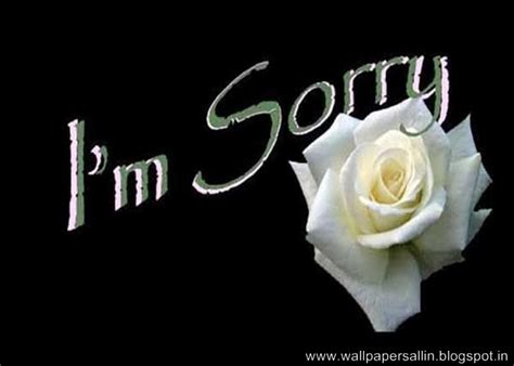 I Am Sorry Wallpaper - WallpaperSafari