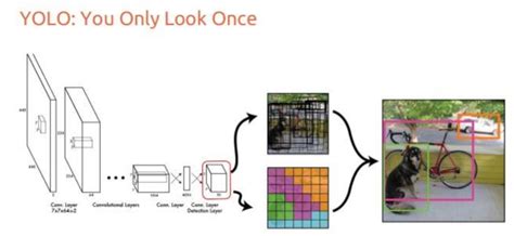 🧠 Unleashing the Power of Deep Learning: Exploring the YOLO Algorithm ...