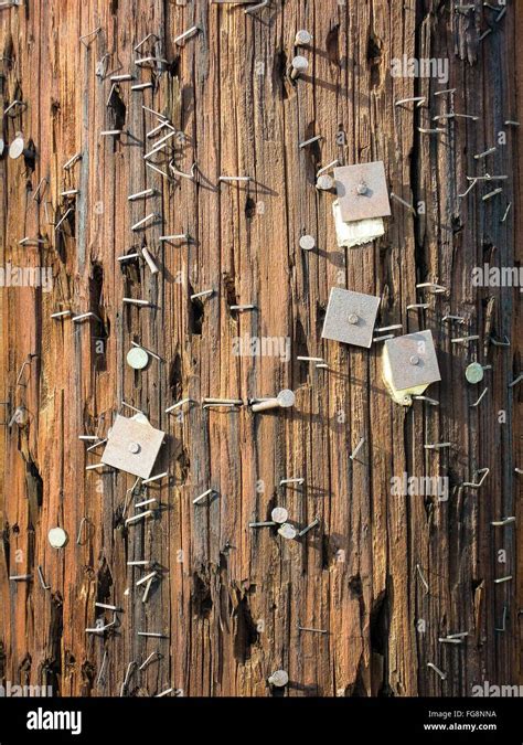 Wood and nails High Resolution Stock Photography and Images - Alamy