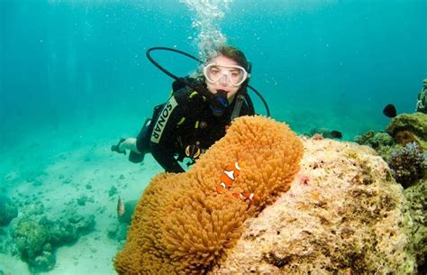 Volunteer in Australia - Marine Conservation at the Great Barrier Reef