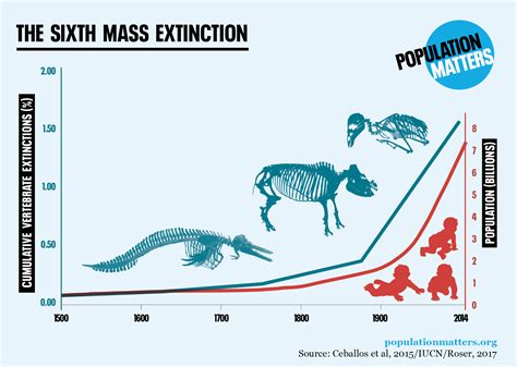 Mass Extinction 2024 - Cordy Dominga