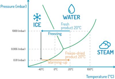 About freeze drying | Freeze drying process