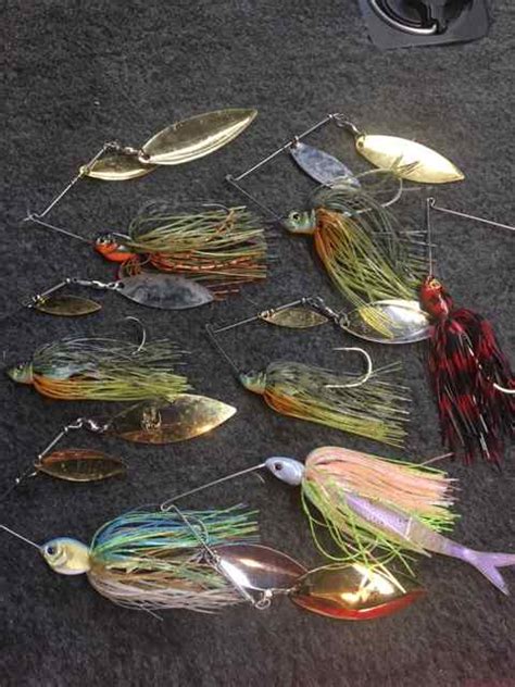 Alternative Spinnerbait Colors ? - Fishing Tackle - Bass Fishing Forums