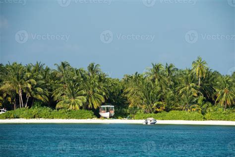 maldives tropical paradise beach crystal water coconut tree island ...