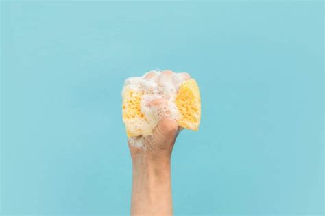 What to Look for When Trying to Buy the Best Sponge for Cleaning