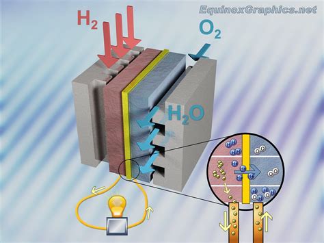 Hydrogen Fuel Cell Diagram | A diagram of the functioning of… | Flickr