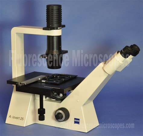 Inverted Microscope Cell Culture