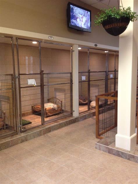 Dog and Large Animal Custom Enclosures - Midmark Corporation | Dog boarding kennels, Dog hotel ...