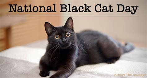 National Black Cat Day - Fun Facts and Ways to Celebrate these Felines