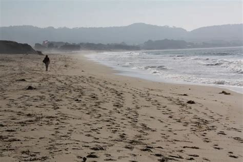 Sand City Beach in Sand City, CA - California Beaches