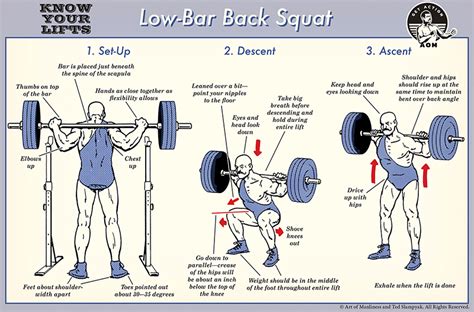 How to Low Bar Squat | Penileclinic.com