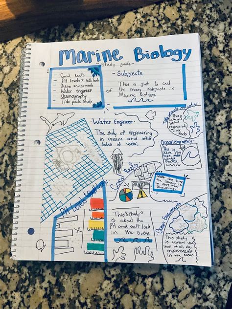 Marine biology notes (revision) Creds: me | Biology notes, Marine biology schools, Marine biology