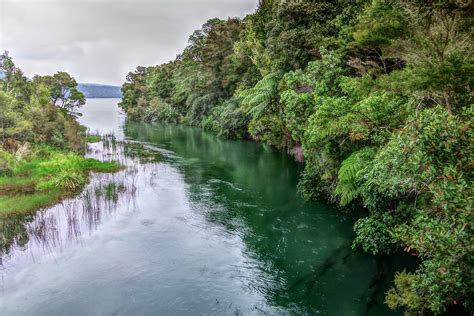 Six ways to improve water quality in New Zealand's lakes and rivers