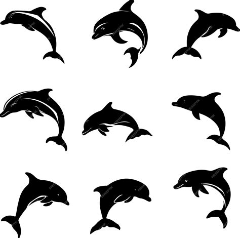 Premium Vector | Dolphin vector silhouette illustration 2