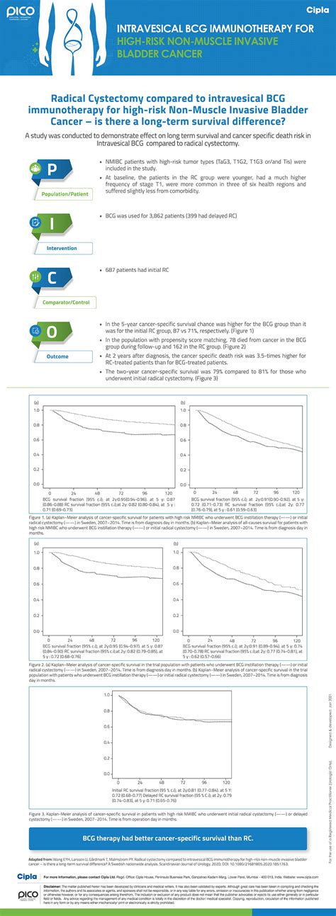 Intravesical BCG Immunotherapy for High-Risk Non-Muscle Invasive ...