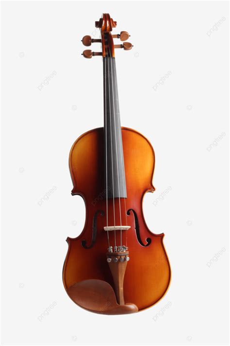 Violin Viola Cello Bass Wallpaper