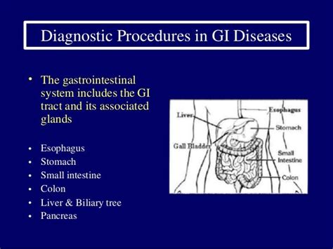 Gastro intestinal system diagnostic-tests-