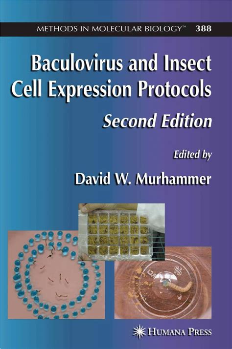 (PDF) Recombinant protein production in large-scale agitated bioreactors using the baculovirus ...