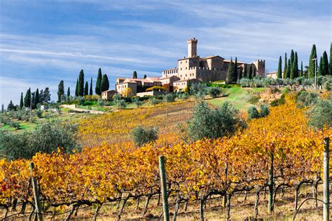 The Italian Wine Region of Montalcino - From The Vine